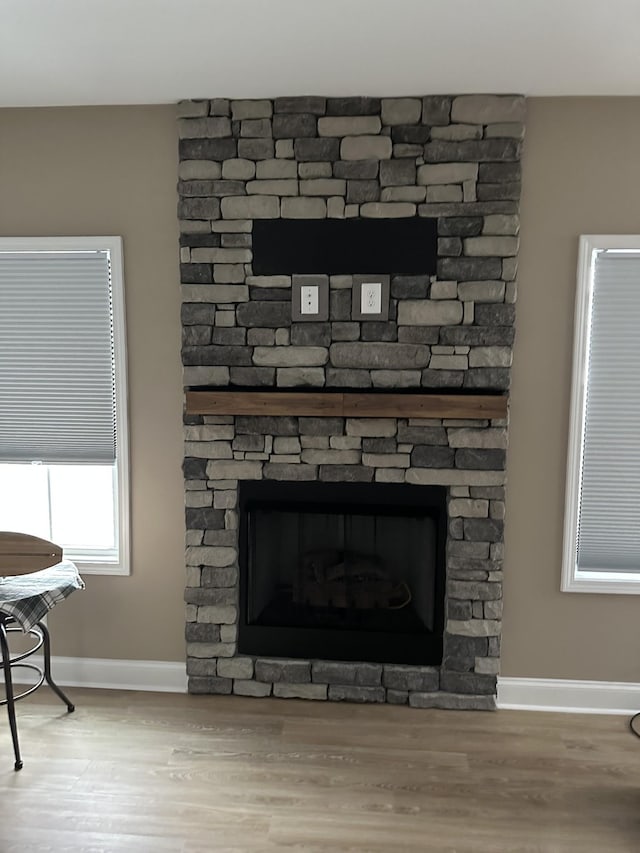 room details with baseboards, wood finished floors, and a stone fireplace