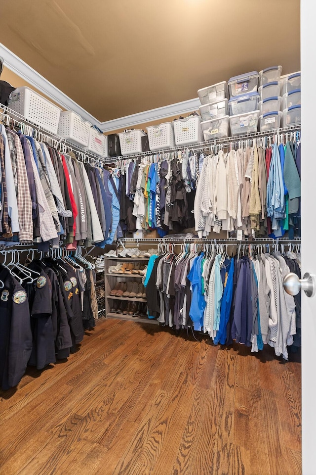 spacious closet featuring wood finished floors