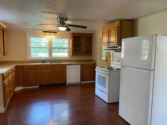 kitchen featuring under cabinet range hood, white appliances, dark wood-style flooring, a sink, and light countertops