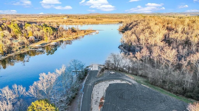 aerial view featuring a water view and a forest view