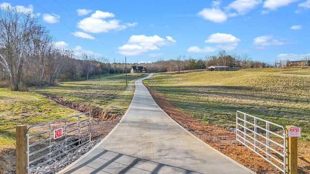 view of home's community featuring a yard