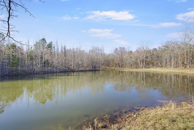 water view with a forest view