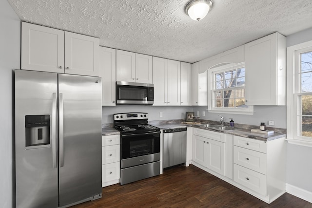 kitchen featuring a wealth of natural light, dark wood-style floors, stainless steel appliances, and a sink