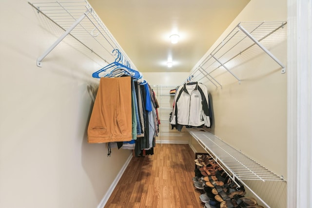 walk in closet featuring wood finished floors