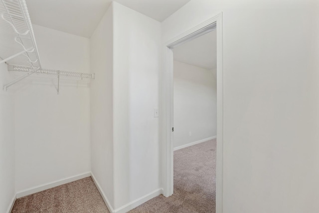 walk in closet featuring carpet