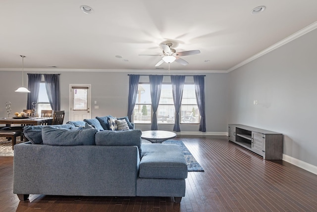 living area featuring crown molding, plenty of natural light, dark wood finished floors, and baseboards