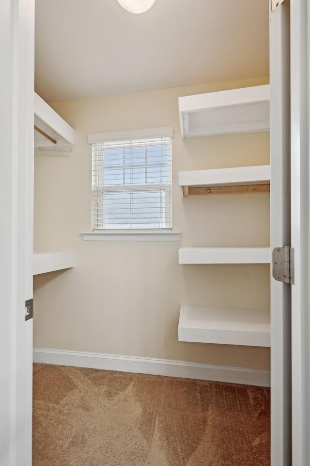 spacious closet with carpet floors