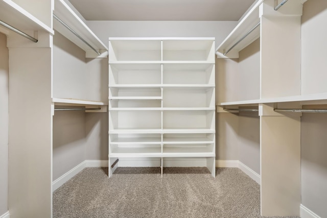 walk in closet with light carpet