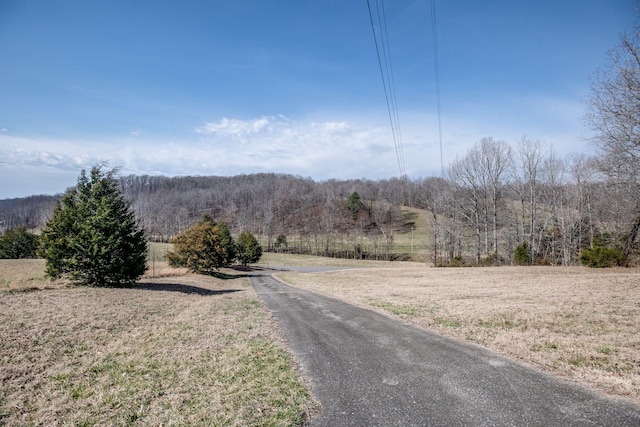 view of road with a wooded view and a rural view