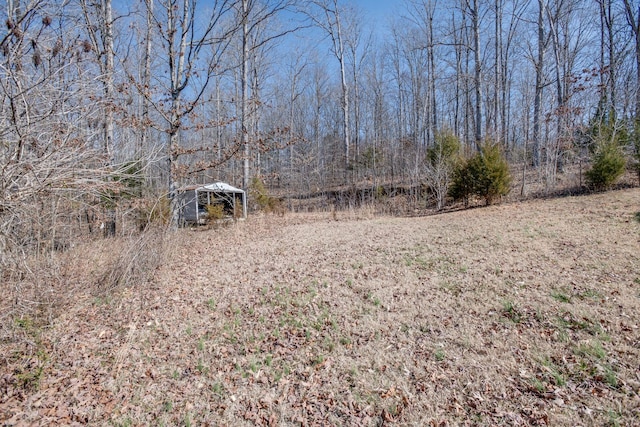 view of yard featuring a wooded view