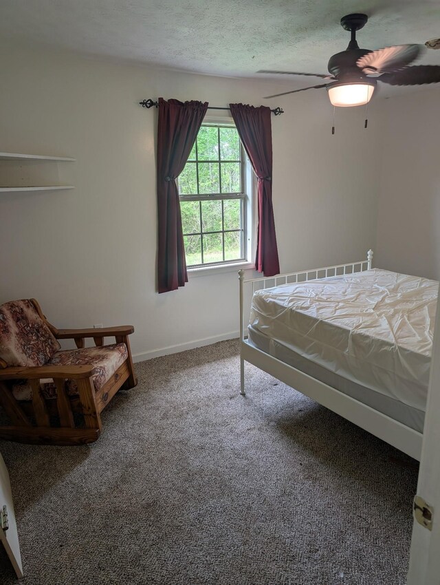 4460 Bold Springs Rd, Mc Ewen, TN 37101 - carpeted bedroom featuring baseboards