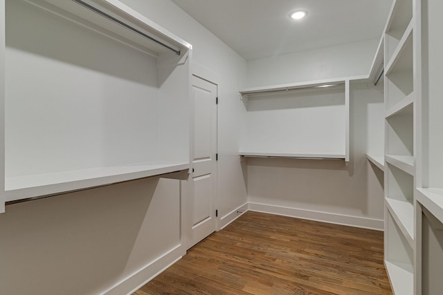 spacious closet featuring dark wood-style flooring