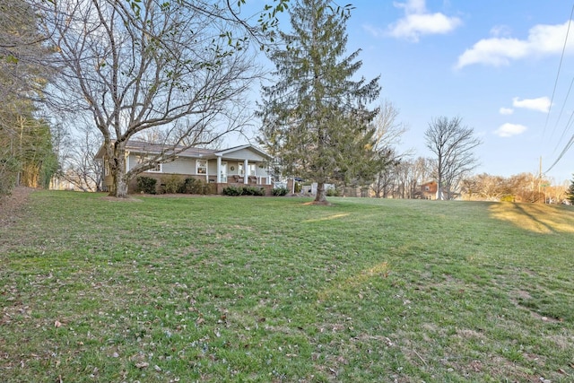 view of yard featuring covered porch