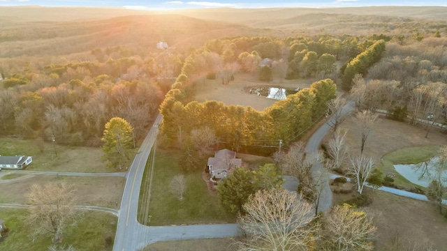 aerial view