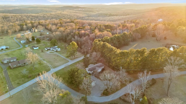 bird's eye view