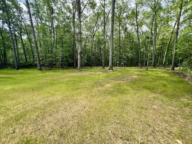 204 Winterberry Cir, Manchester, TN 37355 - photo 6