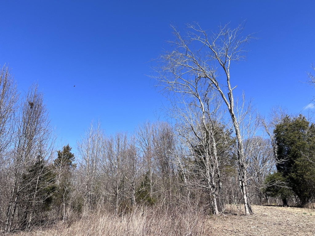 6732 Clarksville Pike, Joelton, TN 37080