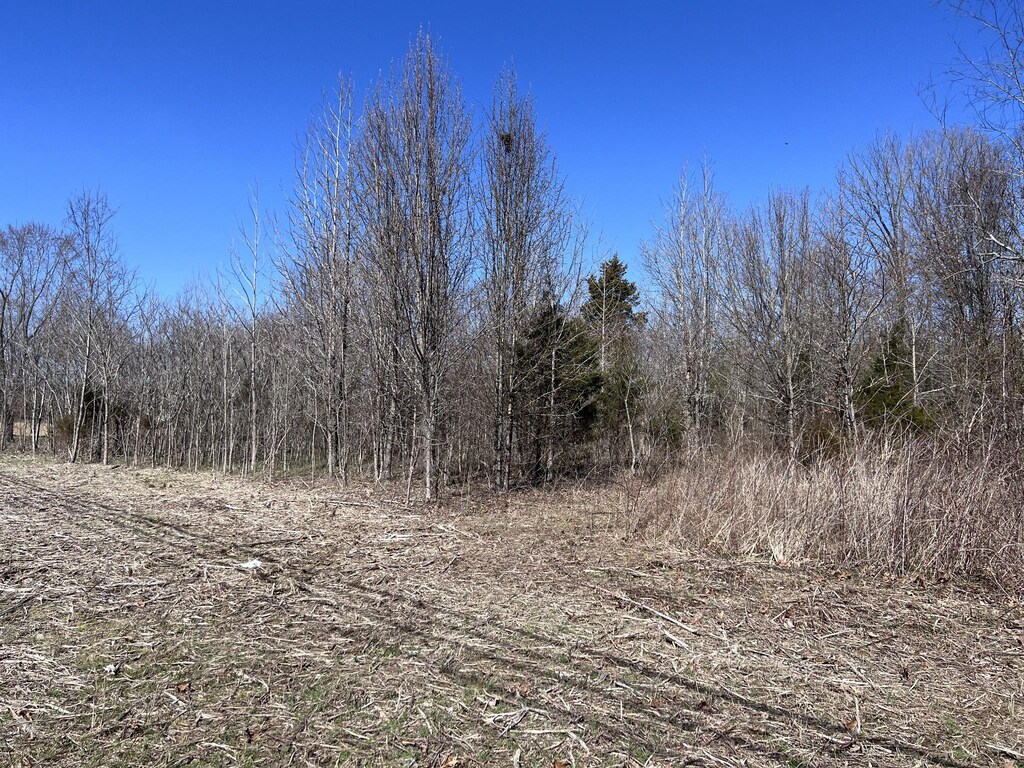 6732 Clarksville Pike, Joelton, TN 37080
