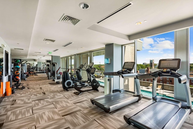 gym with plenty of natural light, carpet flooring, and visible vents