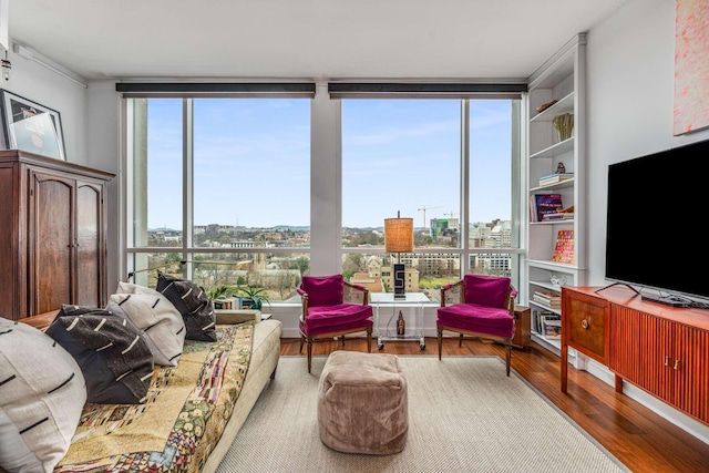 living area featuring expansive windows, wood finished floors, and a wealth of natural light