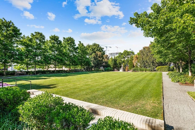 view of property's community featuring a lawn