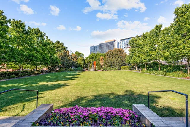 view of property's community with a lawn