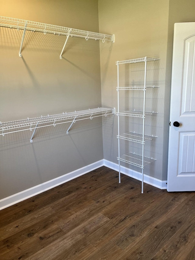 walk in closet featuring dark wood-style flooring