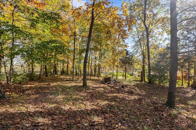 view of local wilderness with a wooded view