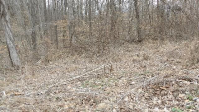 0 Beaver Ln, Gainesboro TN, 38562 land for sale