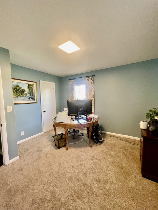 office area featuring baseboards and carpet flooring