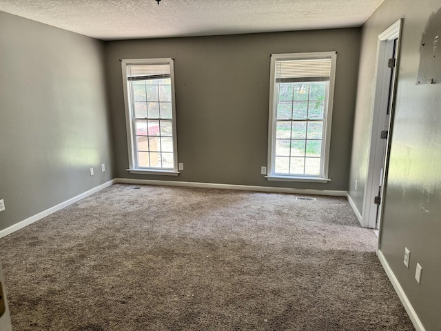 empty room featuring carpet floors, a textured ceiling, baseboards, and a wealth of natural light