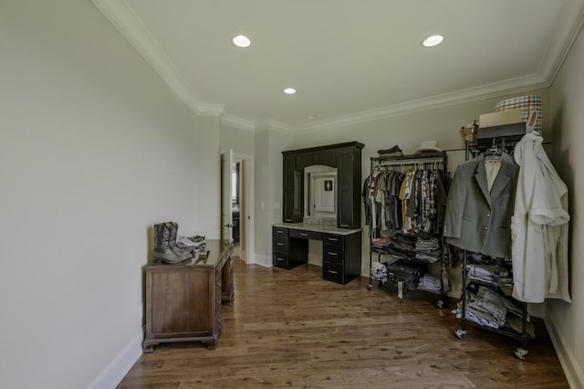 spacious closet featuring dark wood-style flooring