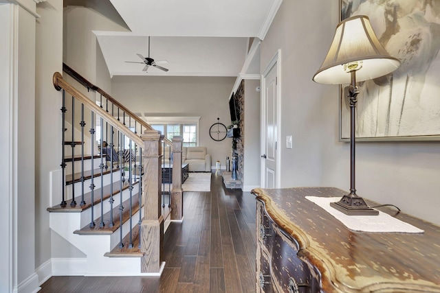 corridor featuring baseboards, dark wood finished floors, and crown molding