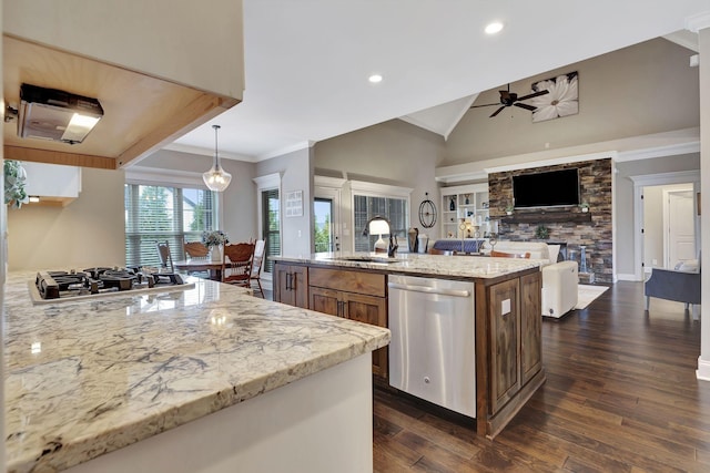 kitchen with lofted ceiling, a sink, open floor plan, appliances with stainless steel finishes, and crown molding