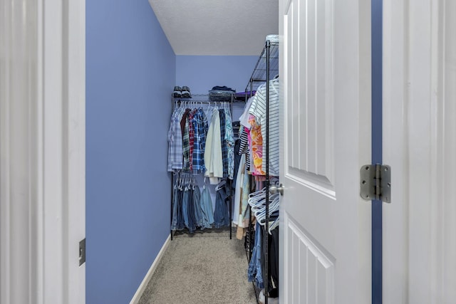 walk in closet featuring carpet