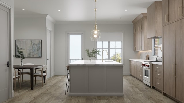kitchen with light wood finished floors, light countertops, high end stainless steel range oven, a sink, and an island with sink