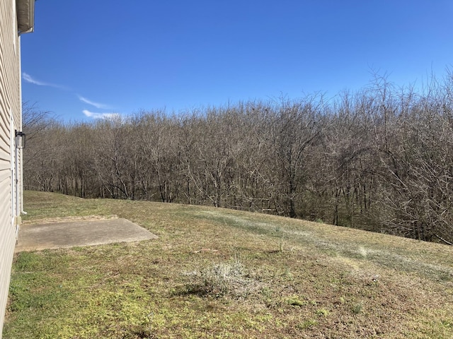 view of yard featuring a view of trees