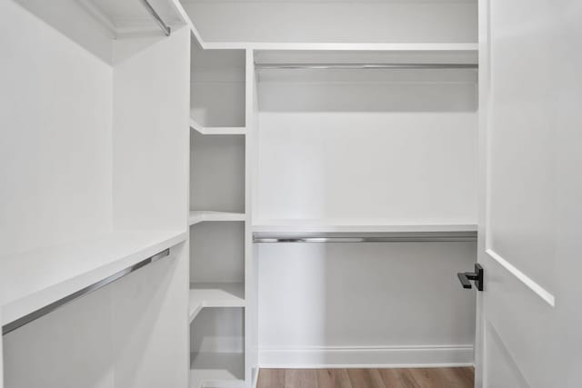 walk in closet featuring wood finished floors