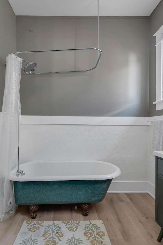 bathroom with wood finished floors and vanity