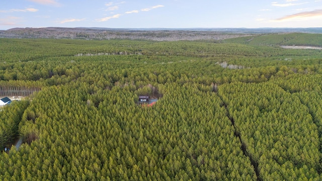 bird's eye view with a forest view