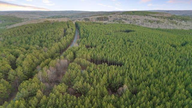 aerial view with a wooded view