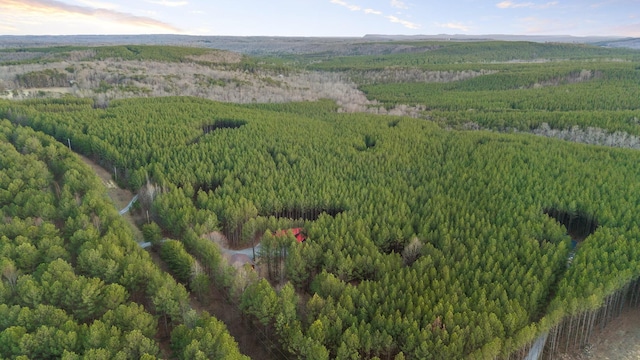 birds eye view of property featuring a wooded view