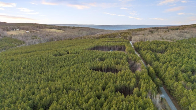 aerial view featuring a water view and a forest view