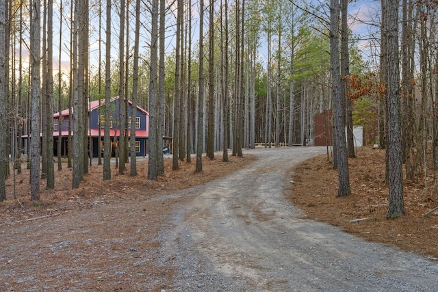 view of road featuring driveway