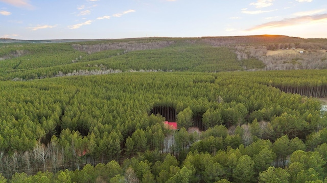 aerial view featuring a forest view