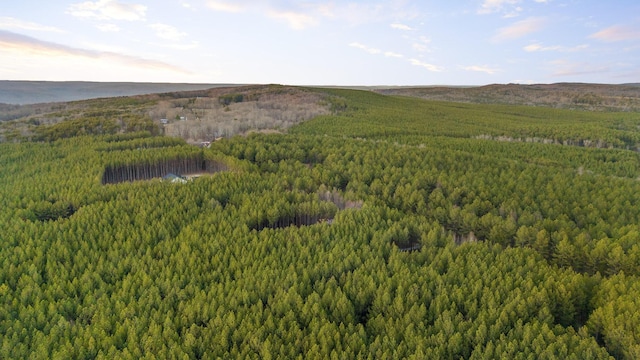 bird's eye view featuring a forest view