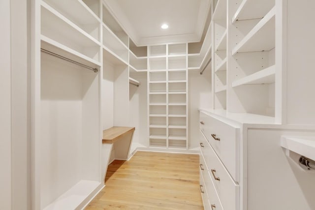 walk in closet with light wood-style floors