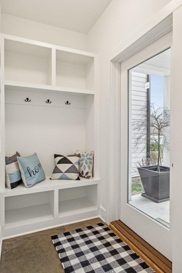 mudroom featuring a healthy amount of sunlight