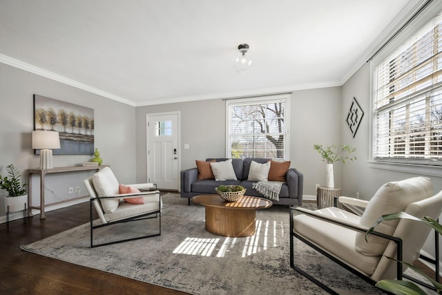 living room featuring baseboards, wood finished floors, and crown molding