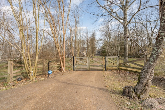 view of road featuring driveway, a gate, and a gated entry